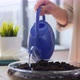 Close Up of Woman Watering Soil in Vase at Home - VideoHive Item for Sale