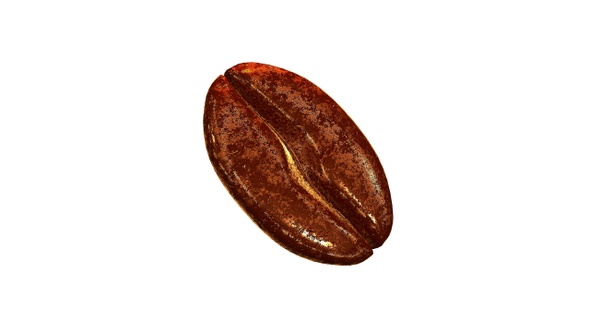 Beautiful coffee bean rotation on white background.