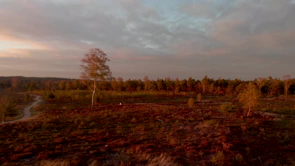 Amazing backwards flying aerial showing a moorland landscape at sunset with people walking on a dirt