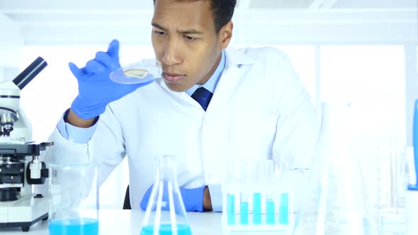 Scientist Looking Reaction in Microscope and Watch Glass