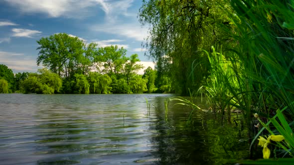 Green Urban Park