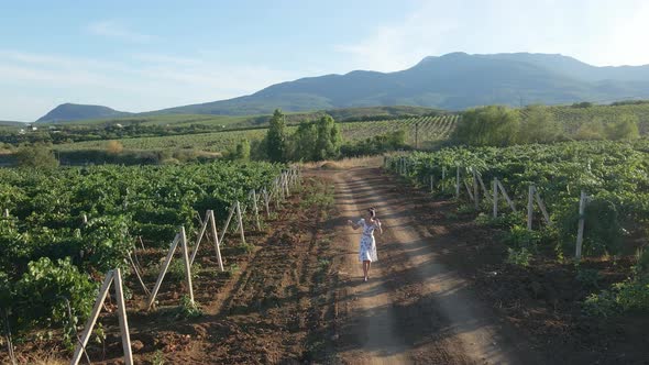 Brunette Woman in a Dress Walks Through the Grape Field