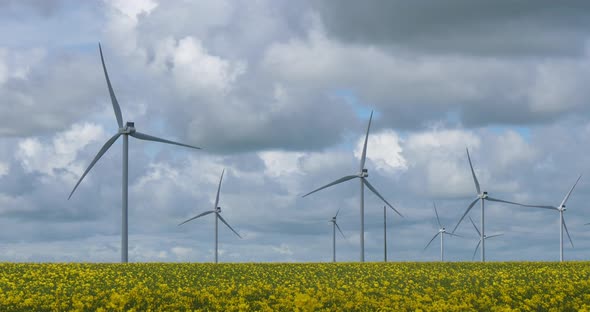 Field of rapeseed (Brassica napus)and wind turbines  in Brittany, France
