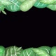 Stylized picture frame made of animated leaves with empty space - VideoHive Item for Sale