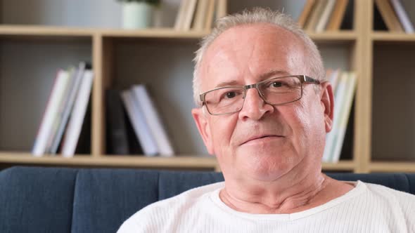 Portrait of a Grayhaired Grandfather in Glasses Looking Into the Camera Lens