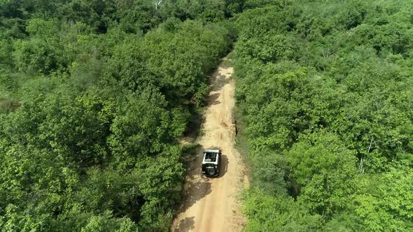Cinematic Aerial shot of Safari Truck Travelling Through Winding Roads of Minneriya National Park