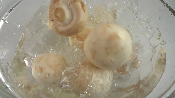Falling Agaricus mushrooms in a glass bowl of water. Slow motion.