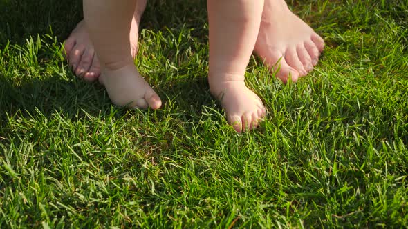 Closeup of Barefoot Baby Standing on Fresh Green Grass with Mother