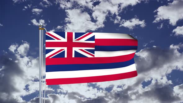 Hawaii Flag Waving 4k