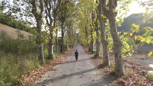 Walking Autumn Road Drone