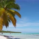 Caribbean white sand beach and blue sea, summer background, travel vacation, paradise island beach - VideoHive Item for Sale