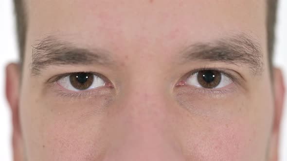 Close Up of Blinking Eyes of Young Man Looking at the Camera , White Background