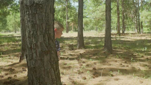 Boy running and hiding behind tree in woods