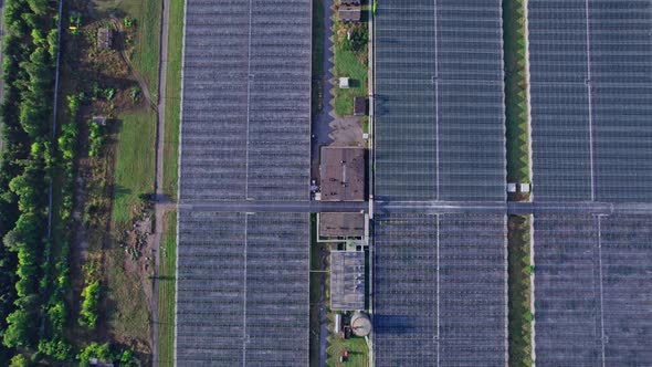 View From Above on Greenhouses for Growing Vegetables and Fruits