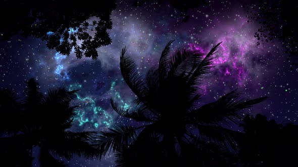 Storm Palms Under Stars Sky alt