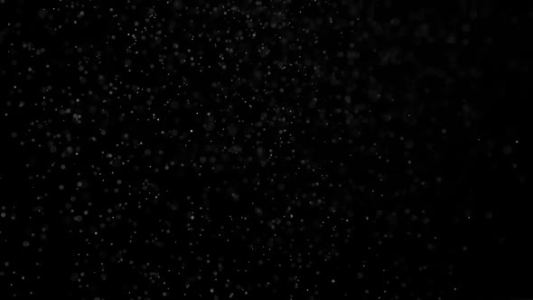 Flight Of The Cosmic Dust alt