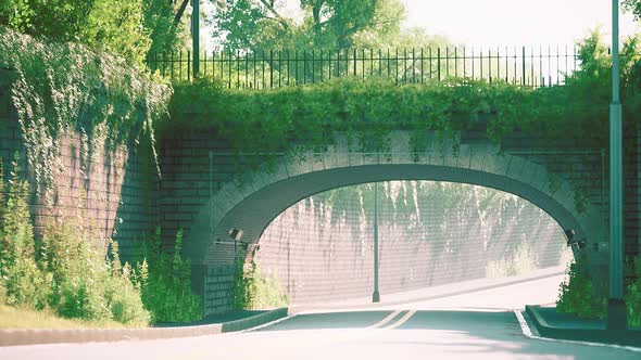 Arch Bridge with Living Bush Branches in Park alt