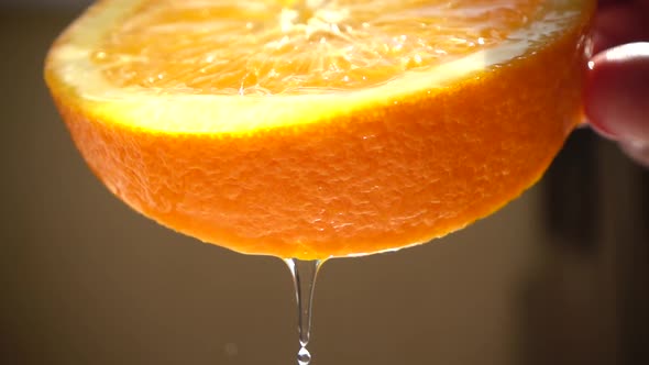 Juicy and Ripe Orange 3