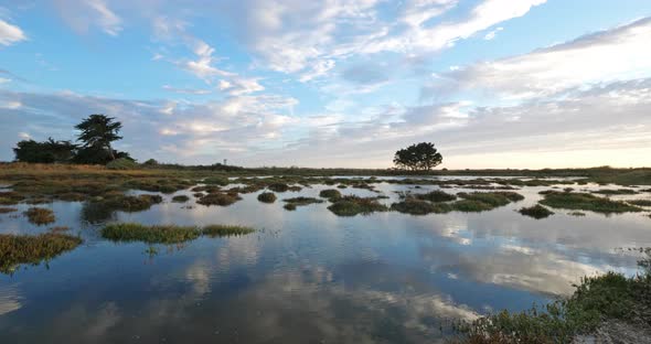 Wild landscape near Penerf, Morbihan department, Brittany, France