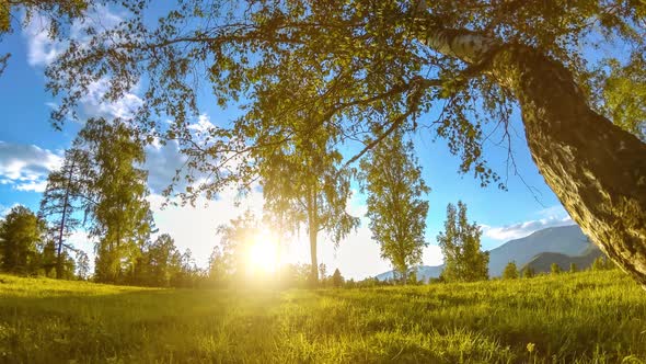 Mountain Meadow Time-lapse at the Summer or Autumn Time. Wild Nature and Rural Field. Motorised