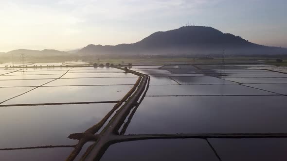 Aerial fly over the flood paddy field