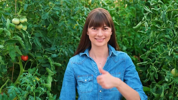 Beautiful Farmer Female Women in Green House of Tomato Showing Thumb Up