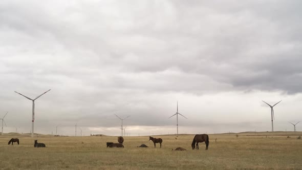 Wind Turbine in a Field Against a Background of Cloudy Grey Sky on the Horizon with a Beautiful