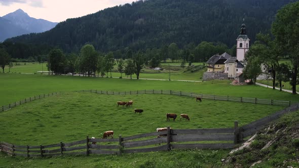 Farm in Slovenian Village with Fenced Pasture for Cows
