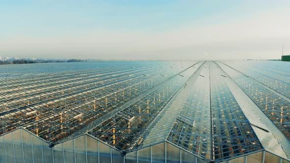 Enormous Glasshouse Complex with Transparent Roof