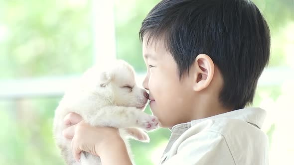 Cute Asian Child Kissing Siberian Husky Puppy  