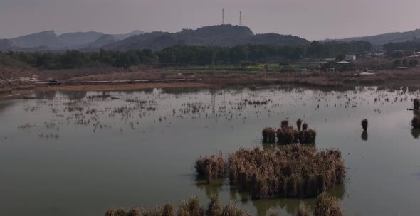 Aerial Flying Over Wetlands At Kallar Kahar At Chakwal District in Punjab. Dolly Forward, Establishi