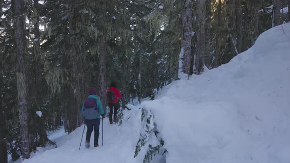 Adventure Girl Friends Hiking in Canadian Mountain Nature