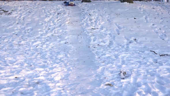 A Girl on a Snow Hill One Goes Down on an Ice Sled