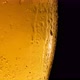 Cold Light Beer with Bubbles in a Glass and Dripping Condensate Drops - VideoHive Item for Sale