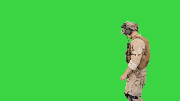 US Army Rangers Walking By on a Green Screen, Chroma Key.