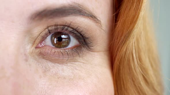 Brown Eye of a Woman With a Foxy Hair