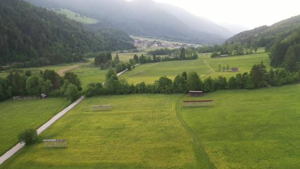 Forest, fields and farmland