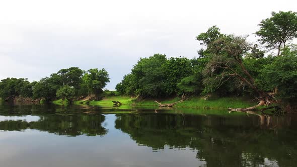 The chobe river view from a small dedicated photography boat. Covering from Kasane to Serondela. A l