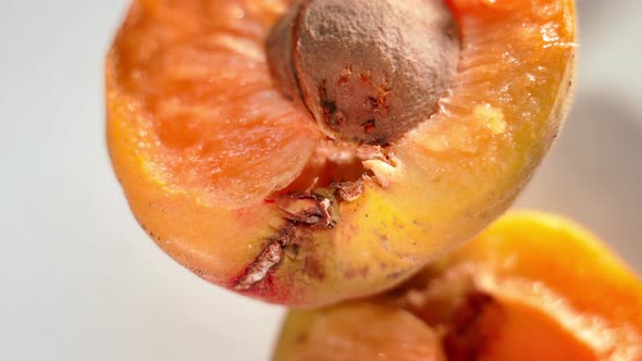 A Worm Crawls Inside a Ripe Juicy Apricot Closeup