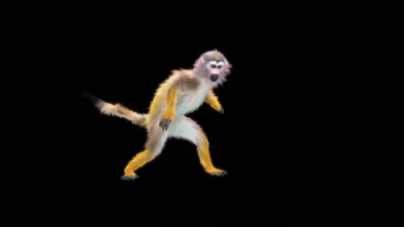 Monkey Dance HD