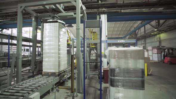 A Working Conveyor in a Paper Mill. Technology. Factory. Kyiv. Ukraine.