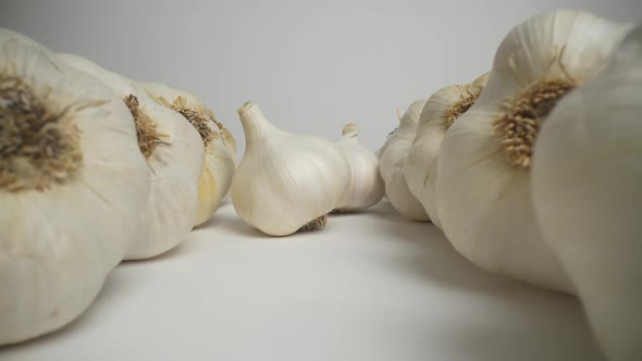 Garlic 56