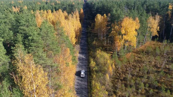 Aerial View Above Road in Forest in Fall With Cars.