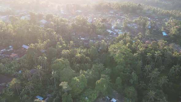 Aerial view of morning sunrise in traditional village ubud Bali, Indonesia.