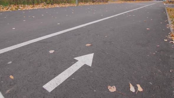 Empty Bicycle Path with Arrow Pointer in Calm Autumn Park