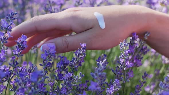 A woman applies a cream to her hands based on a natural composition in a lavender field.