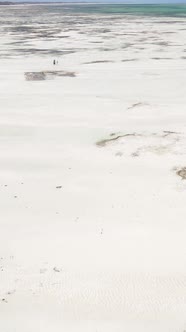 Tanzania  Vertical Video of Low Tide in the Ocean Near the Coast of Zanzibar Slow Motion