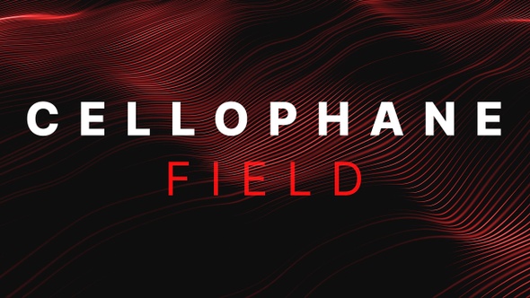 Cellophane: Field (4in1) - 4K VJ Loop Pack