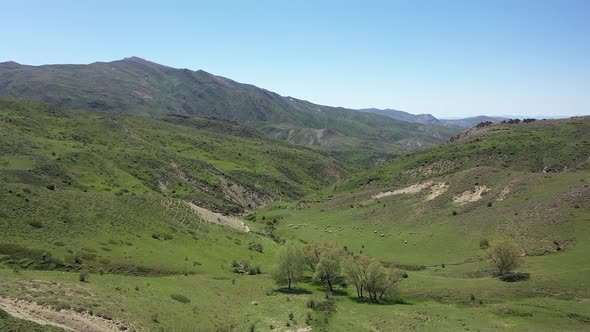 Farming In The Hills