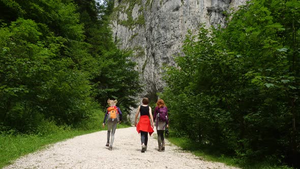 Active Family Hiking By The Canyon 5